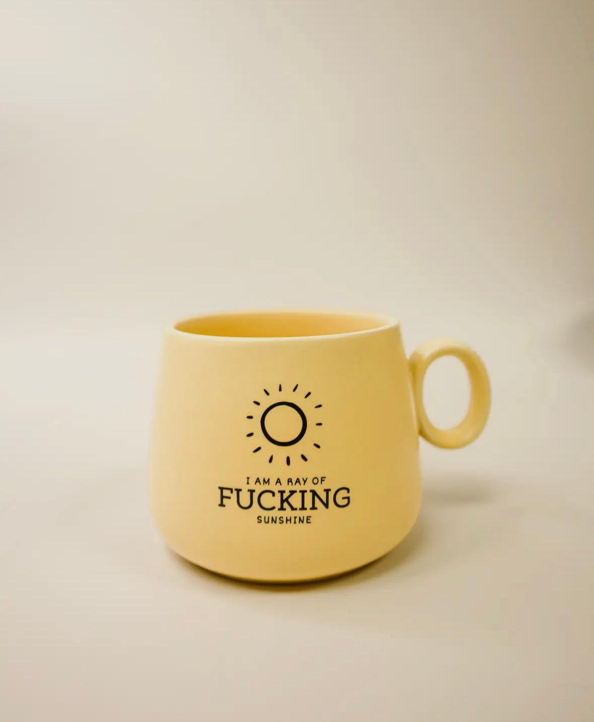 I Am A Ray Of F****** Sunshine Mug