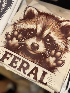 Feral Raccoon